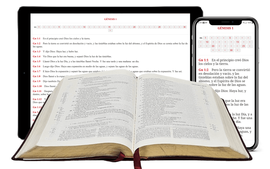 La santa biblia versi n recobro